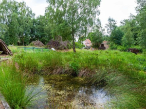 IMG_2474-Pano-scaled